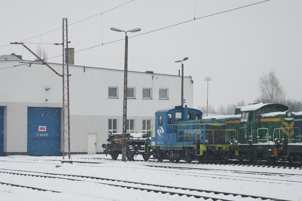 SM30-253 [PKP Cargo]