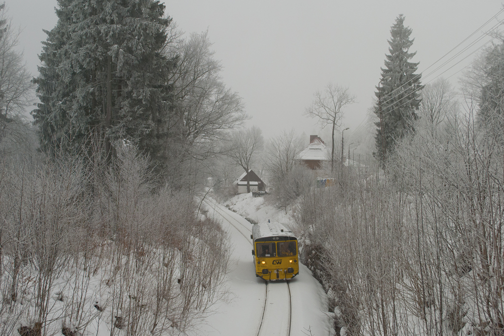 810 659-3 [GW Train Regio]