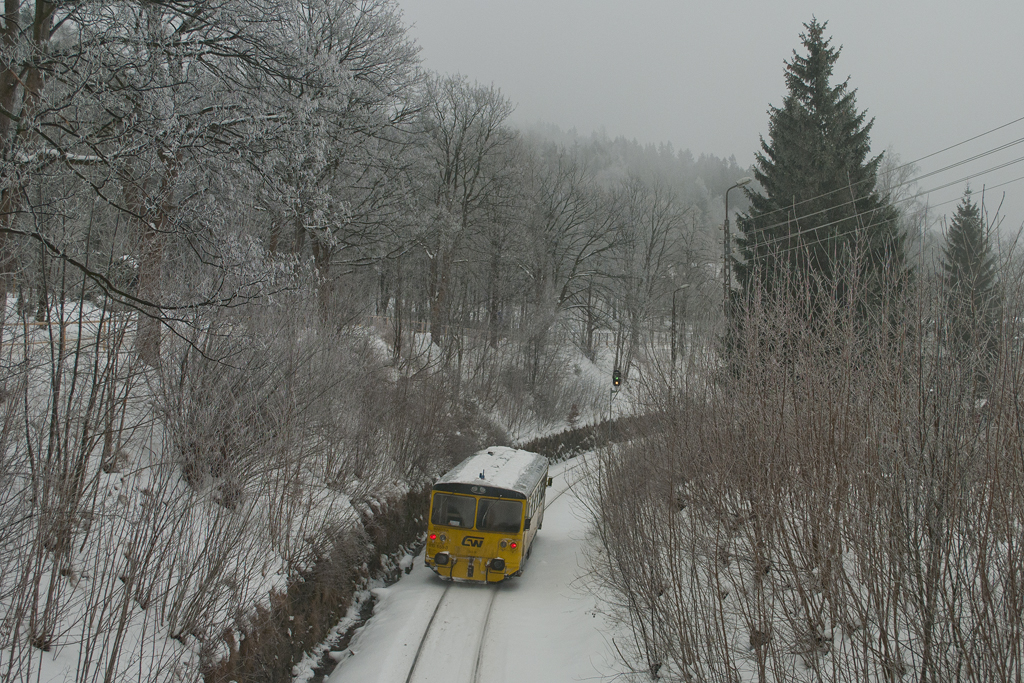 810 659-3 [GW Train Regio]