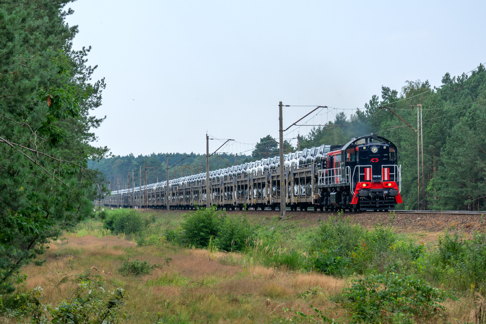 TEM2-168 [Ecco Rail]