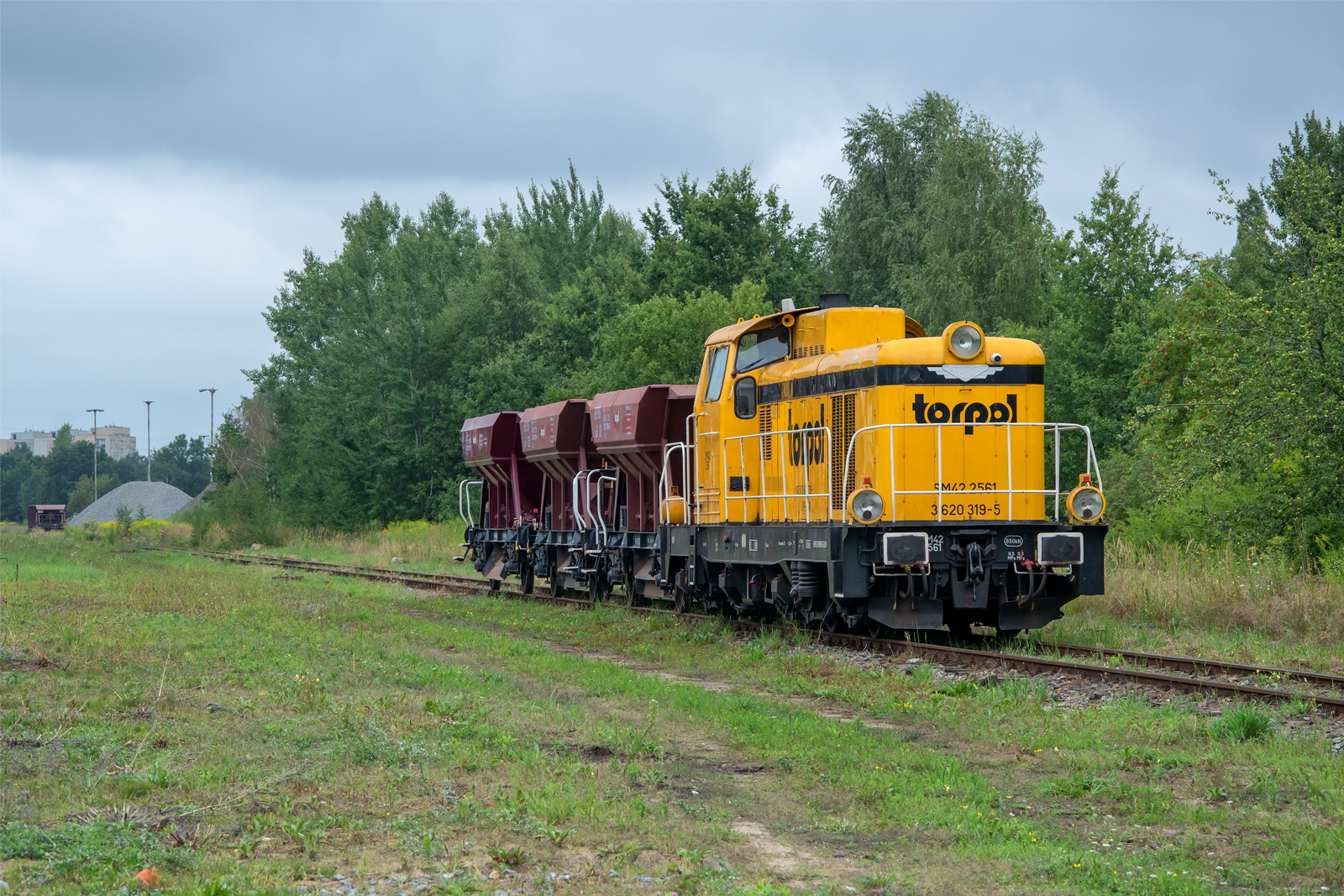 SM42-2561 [Torpol]