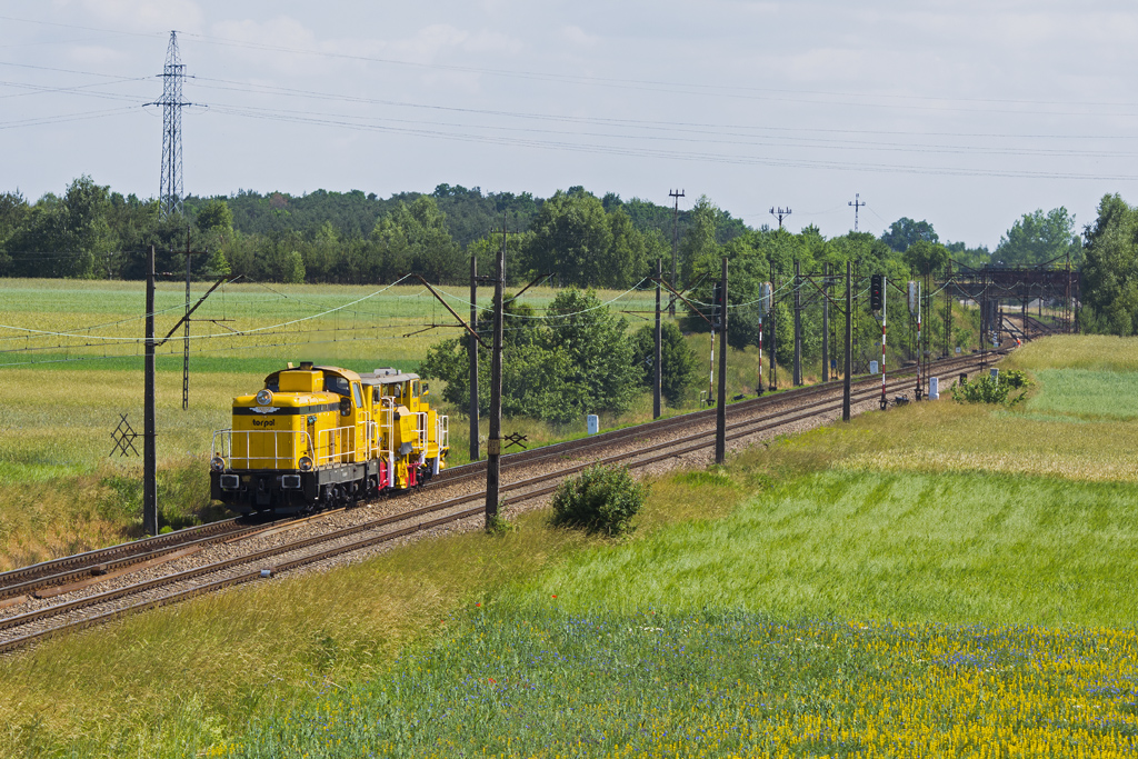 SM42-2561 [Torpol]