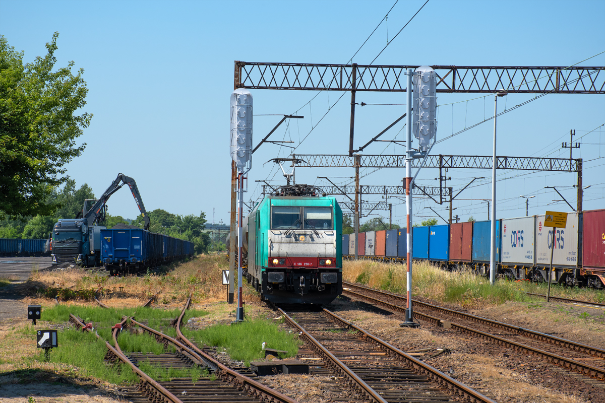 E186 250-7 [Transchem]