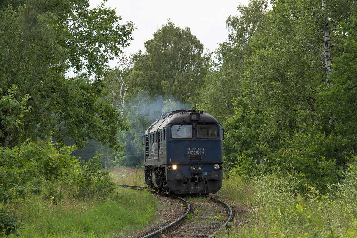 M62-1293 [Orion Rail Logistics]