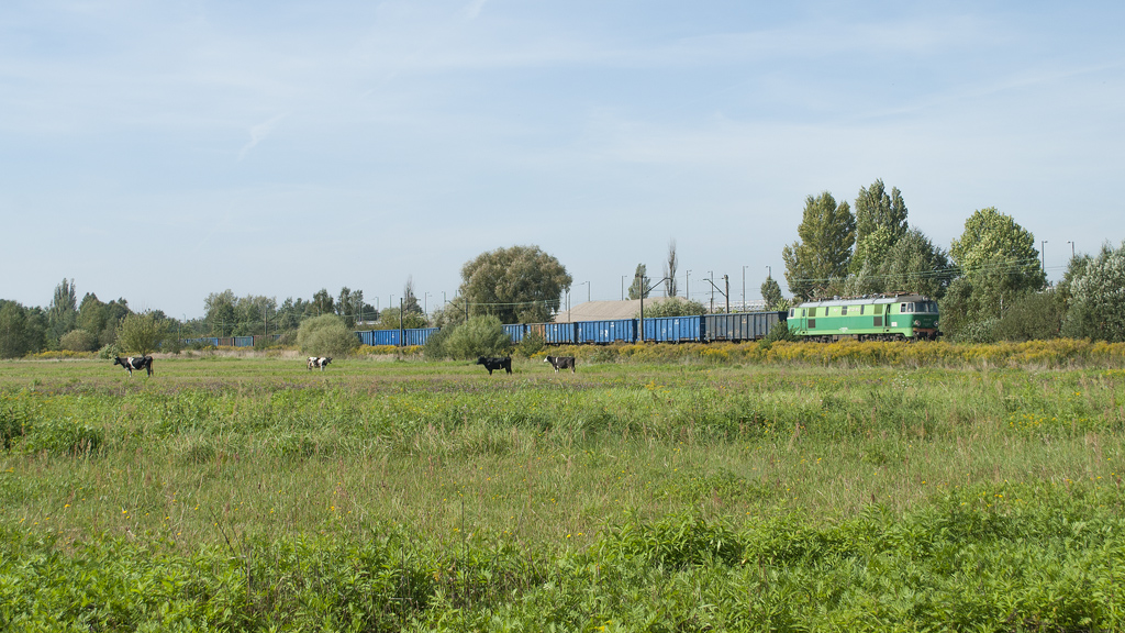 ET22-913 [PKP Cargo]