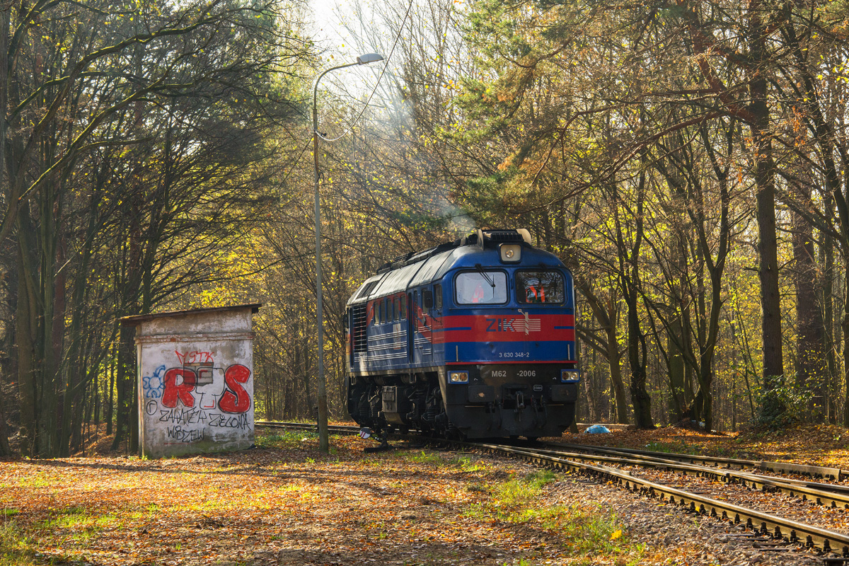 M62-2006 [ZIK Sandomierz]
