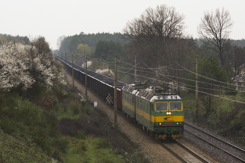 131 023-4 / 131 024-2 [InterCargo]