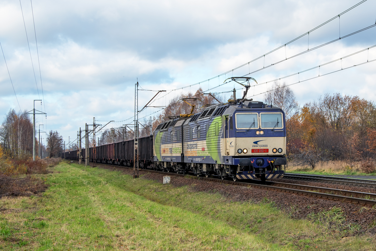 131 010-1  / 131 009-3 [InterCargo]