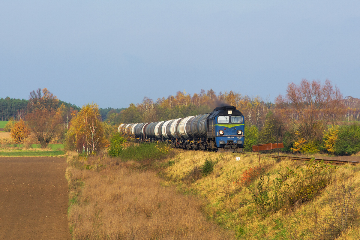 ST44-1229 [PKP Cargo]