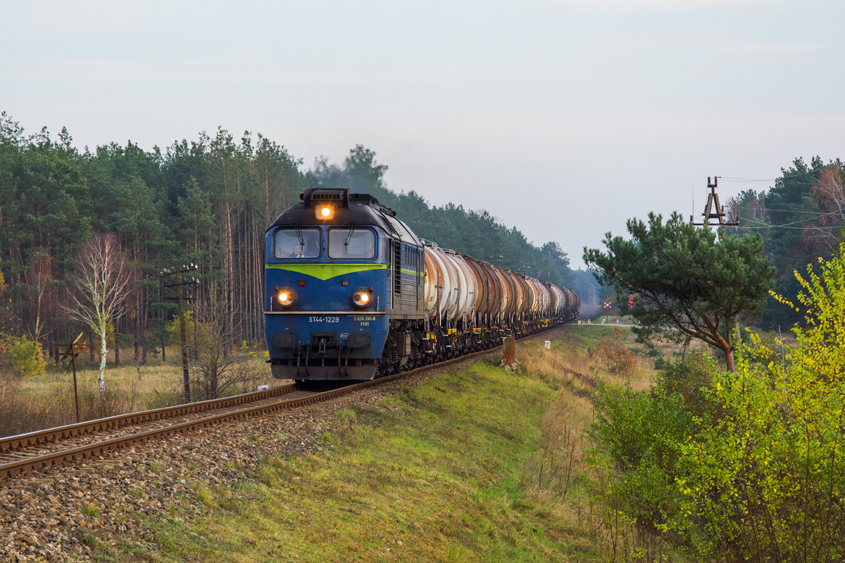 ST44-1229 [PKP Cargo]