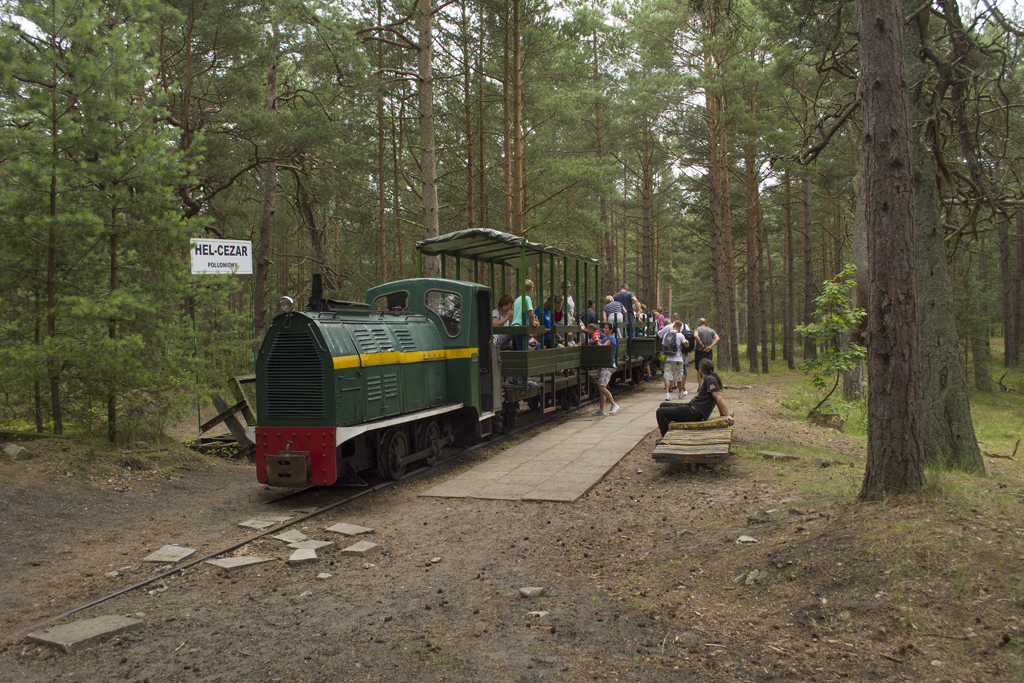 Wls40-291 [Muzeum Obrony Wybrzeża]