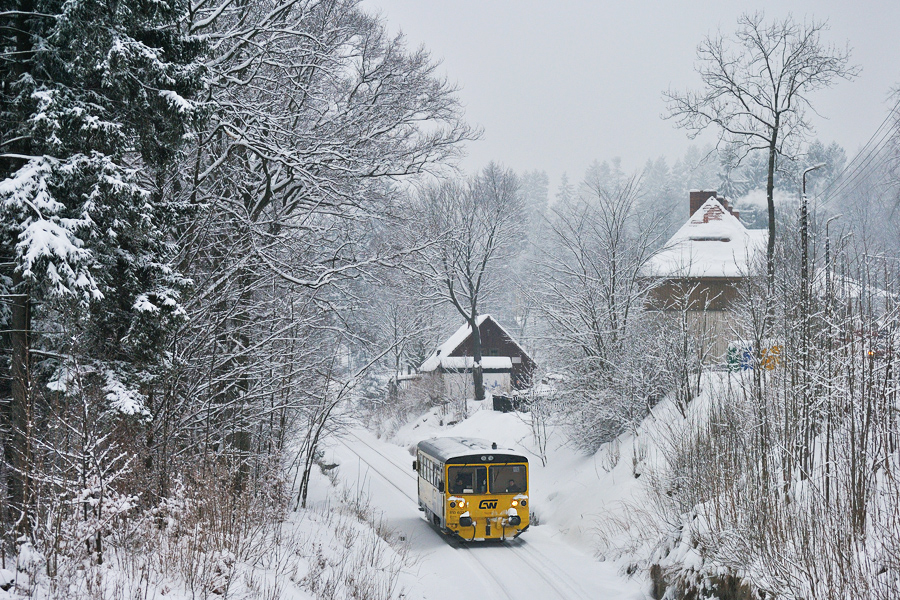 810 602-3 [GW Train Regio]