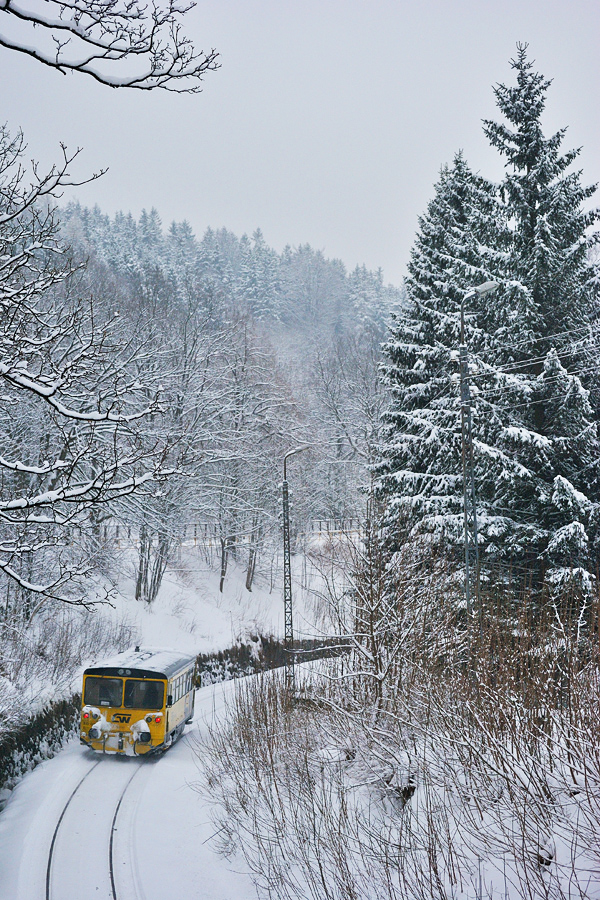 810 602-3 [GW Train Regio]