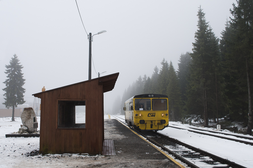 810 602-3 [GW Train Regio]