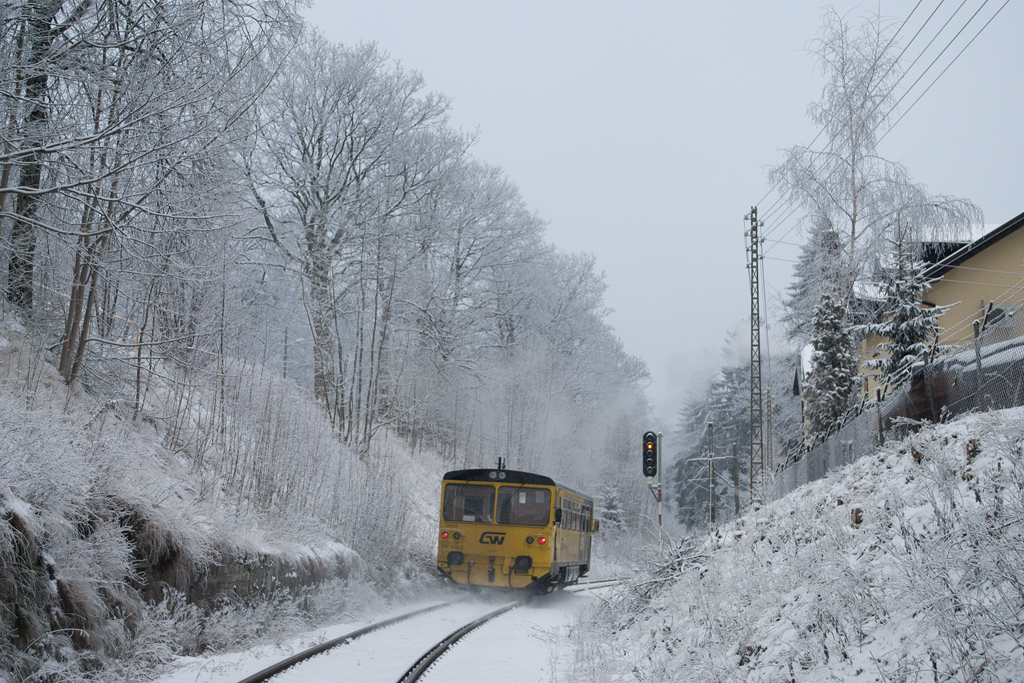 810 602-3 [GW Train Regio]