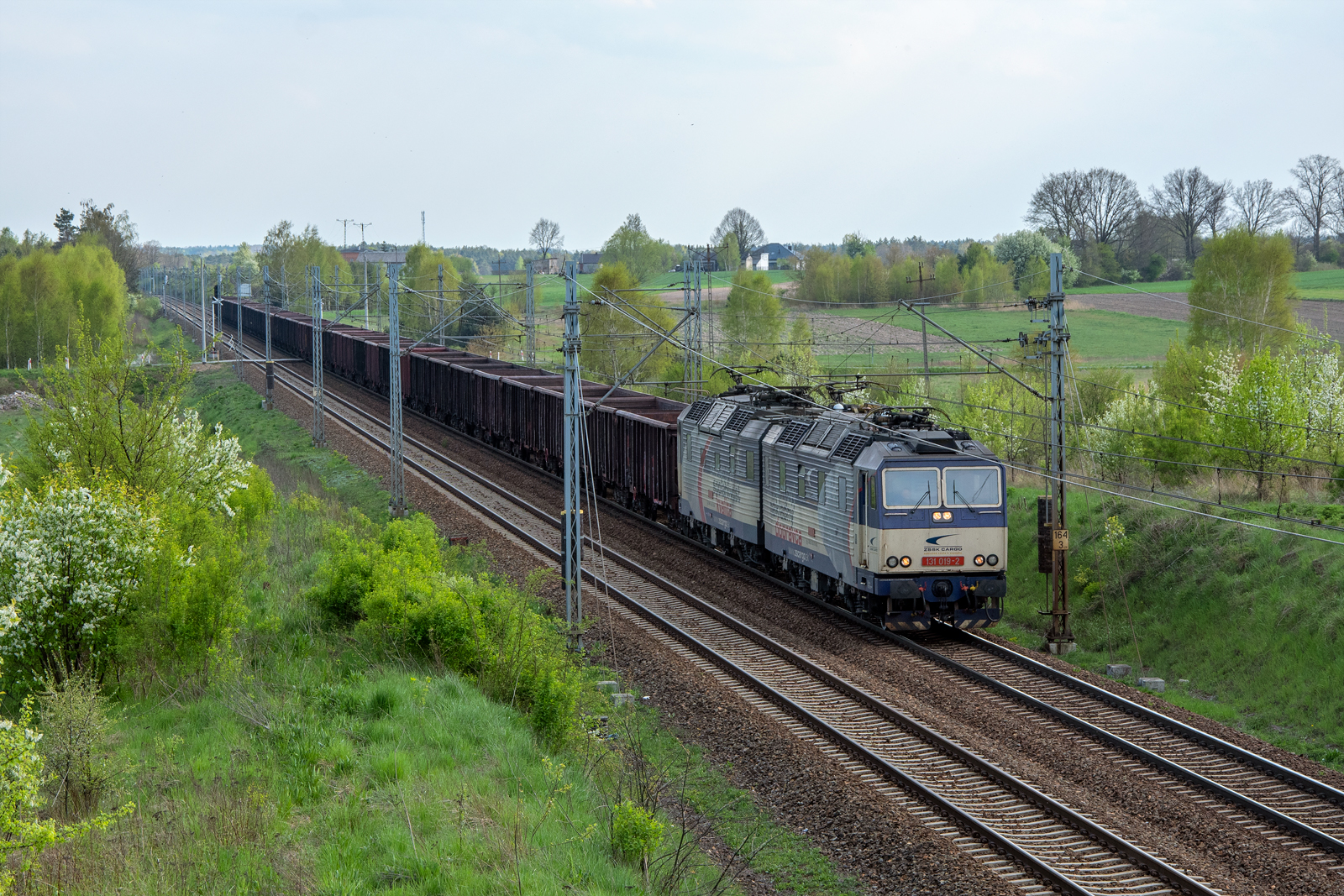 131 019-2 / 131 020-0 [Intercargo]