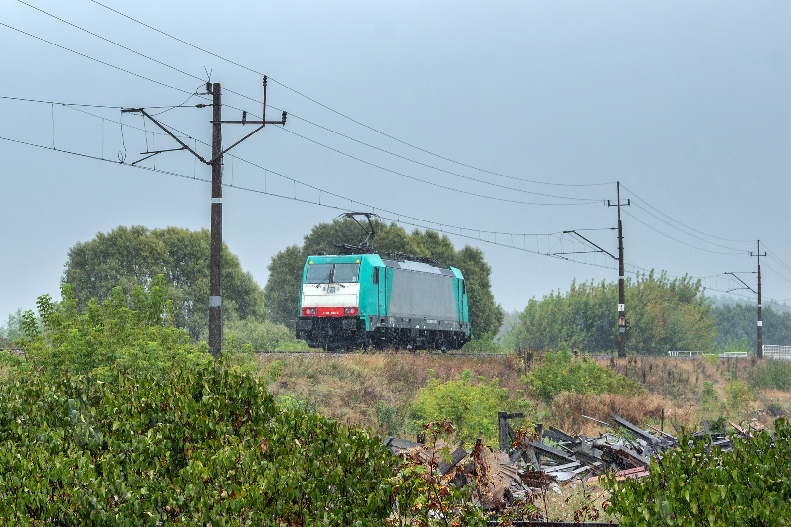 E186 243-2 [Transchem]