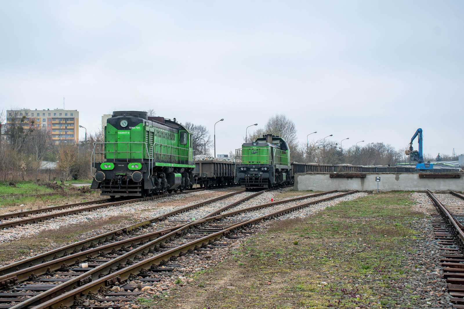 TEM2-080 [LTC]