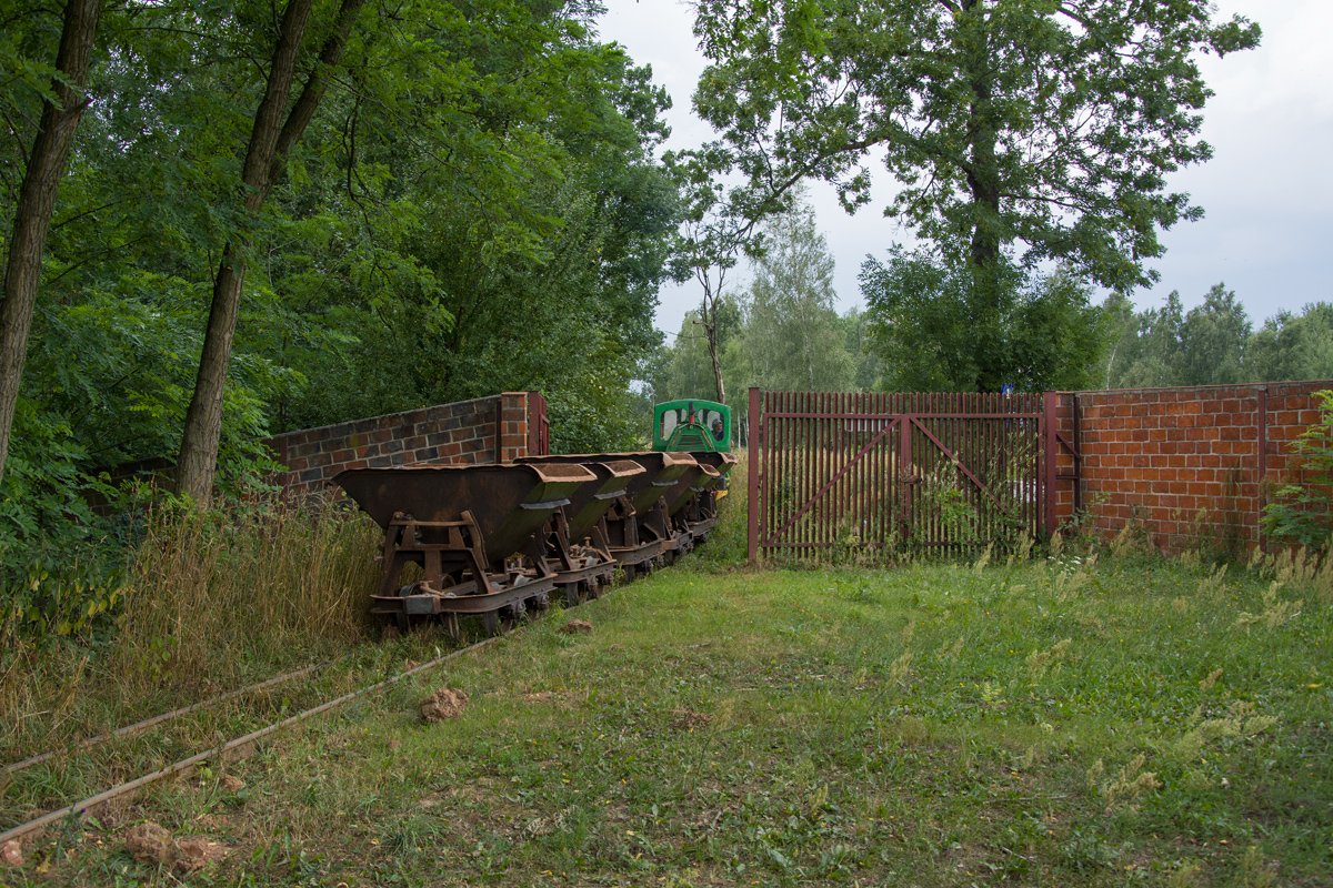 Wls40