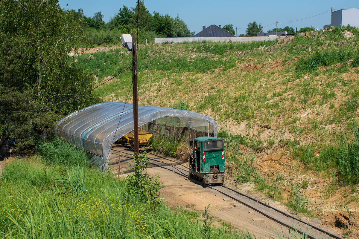 Ns1