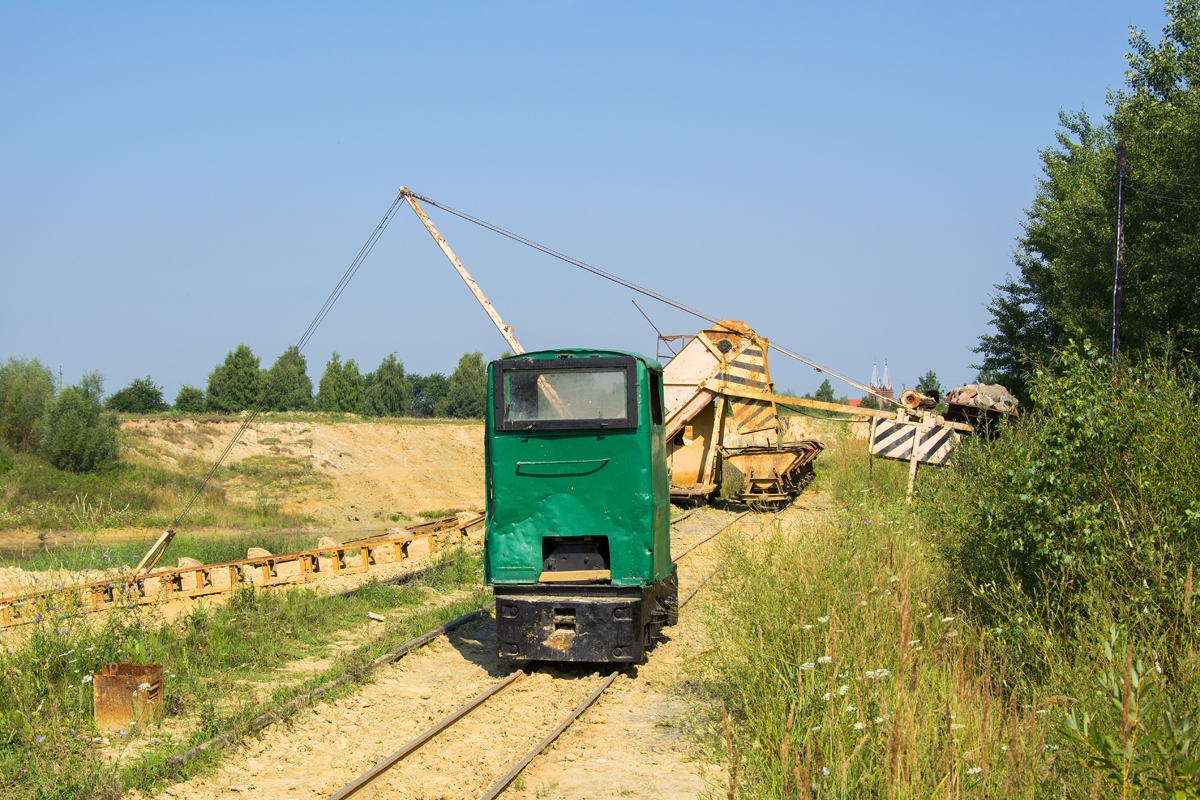Ns1