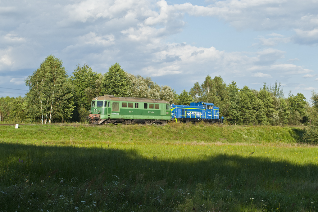 ST43-194 [PKP Cargo]