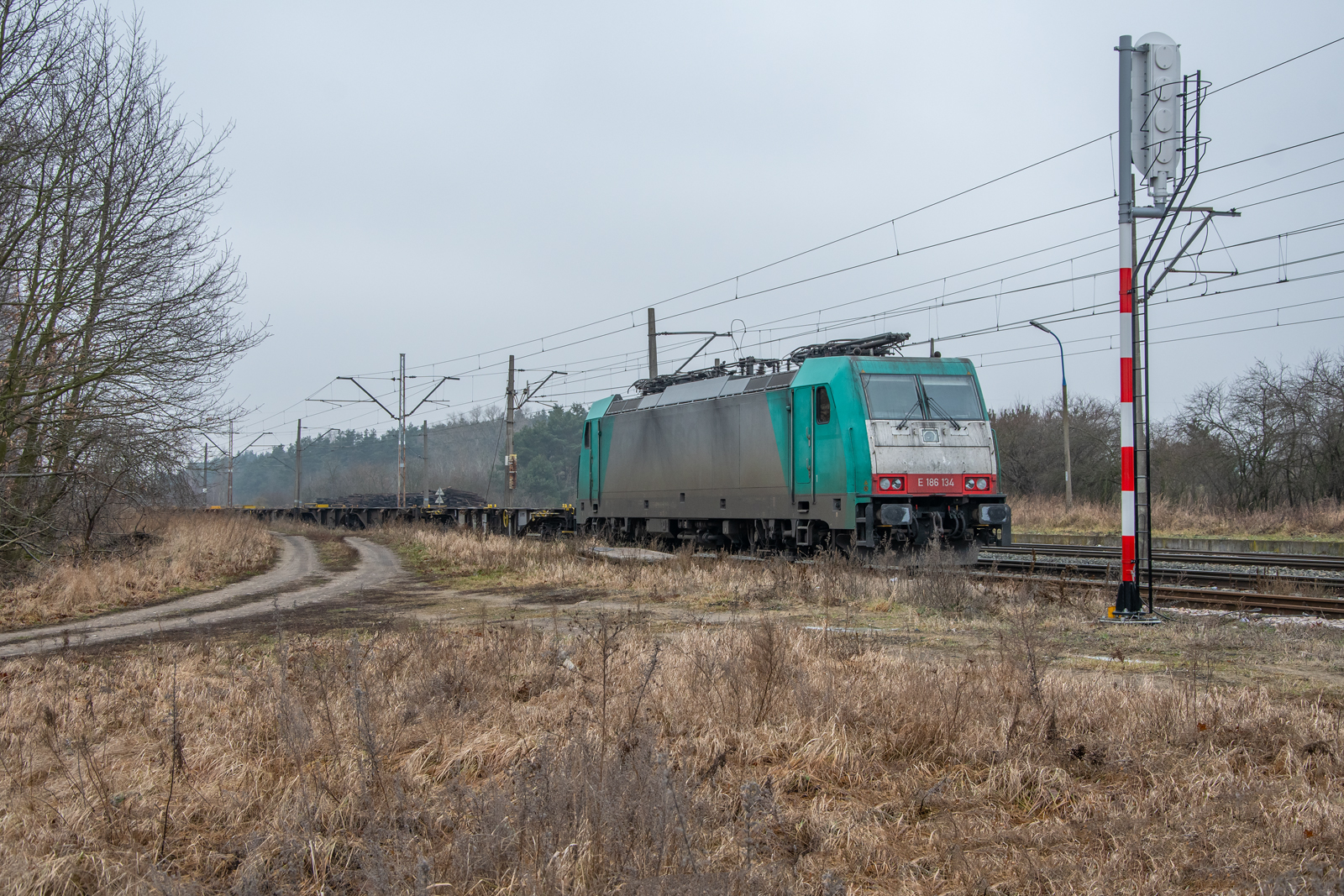 E186-134 [LTE Polska]