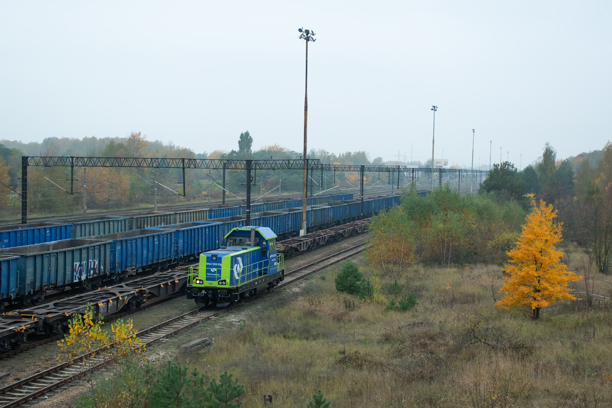 SM42-1309 [PKP Cargo]