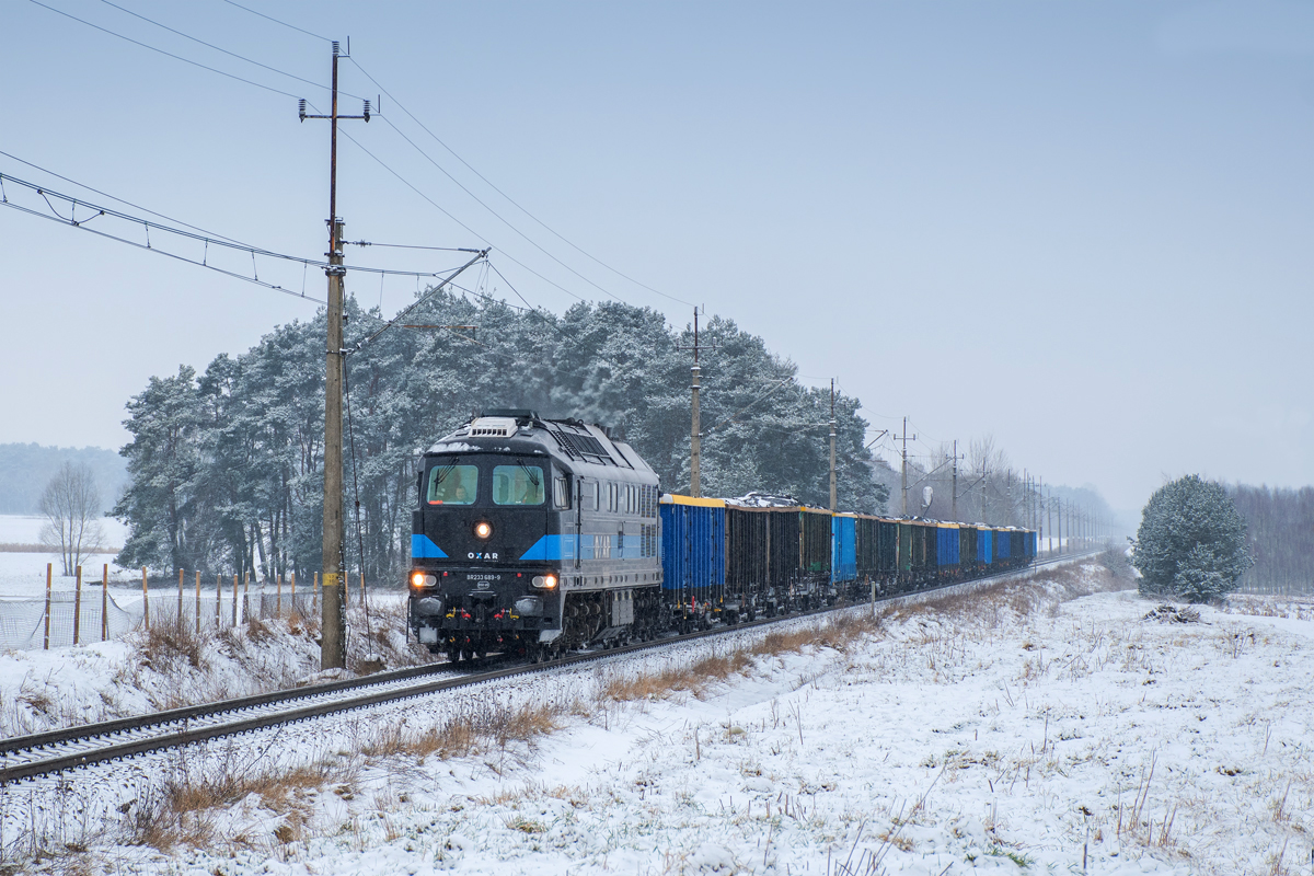 BR233 689-9 [Bartex]