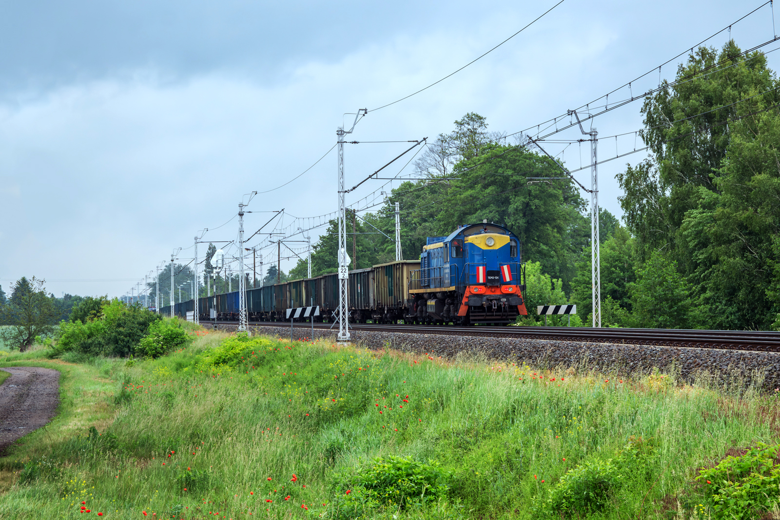 TEM2-124 [Cargotrain]