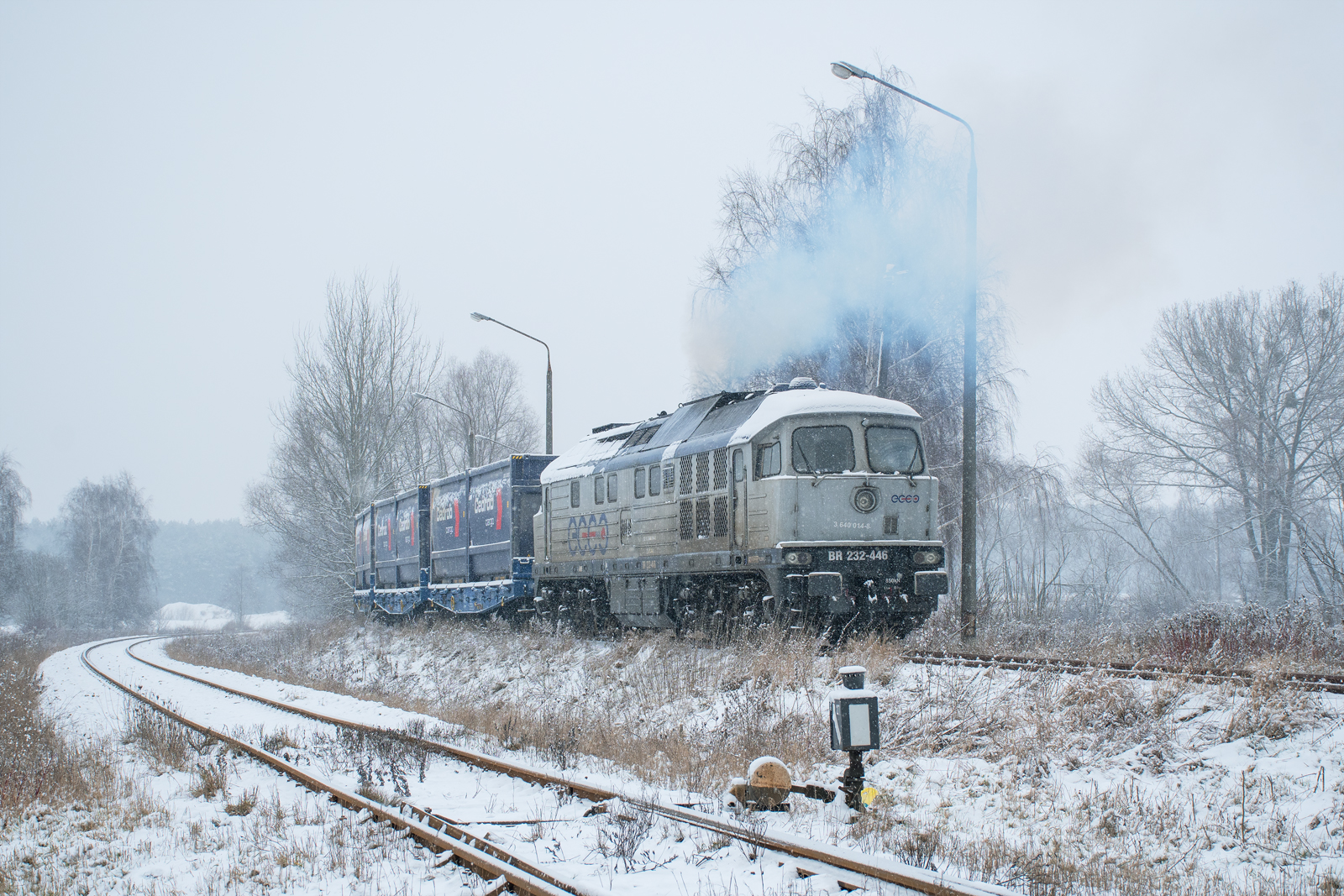 BR232-446 [Ecco Rail]