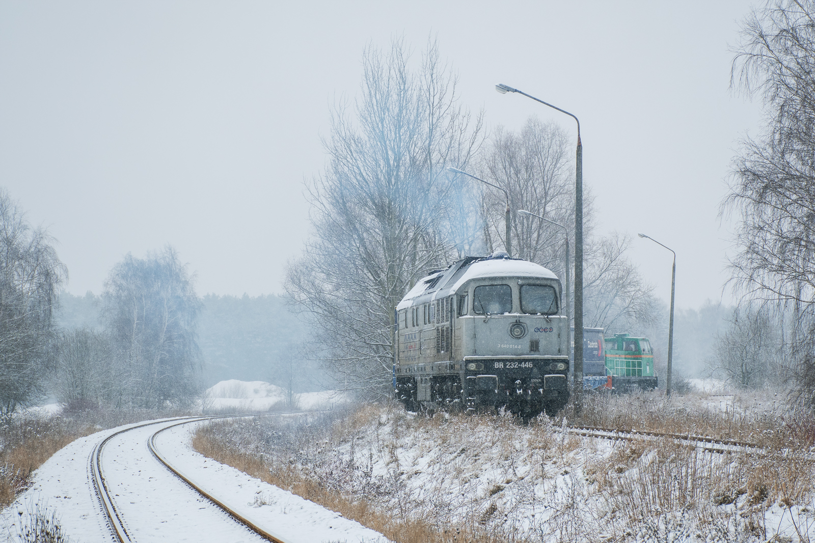 BR232-446 [Ecco Rail]