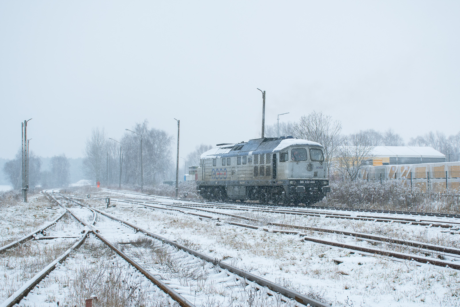 BR232-446 [Ecco Rail]