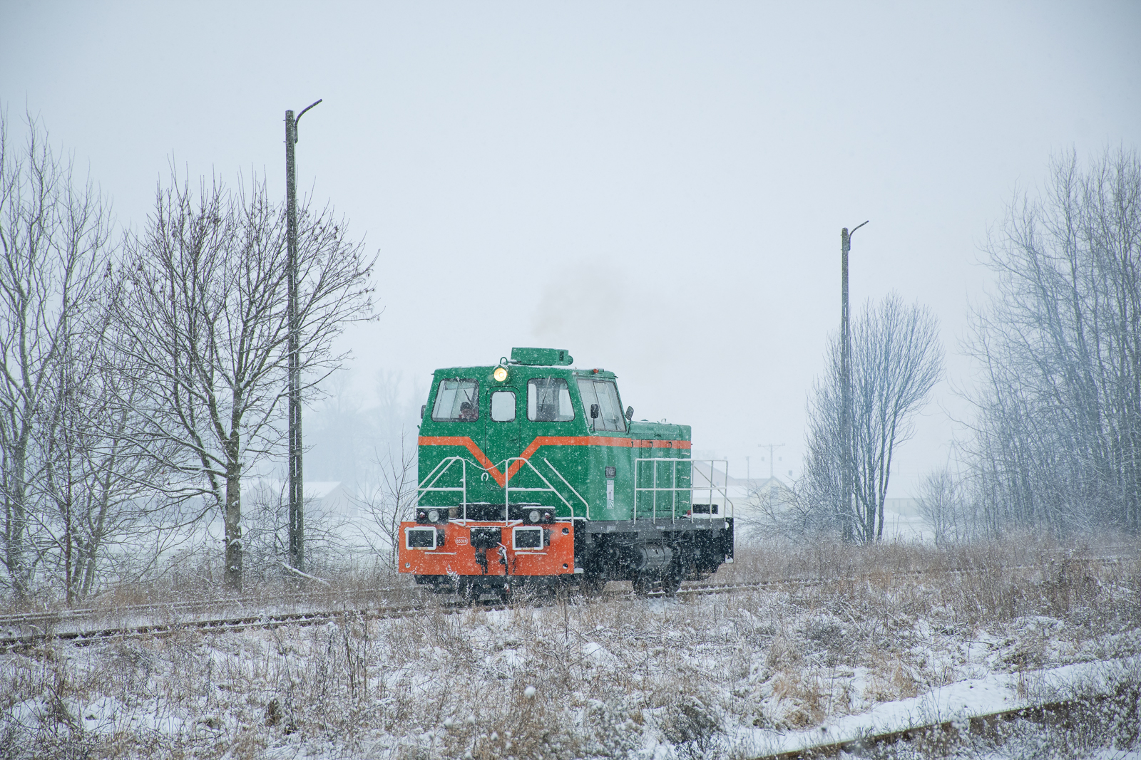 TGM40-0757 [Elewarr]