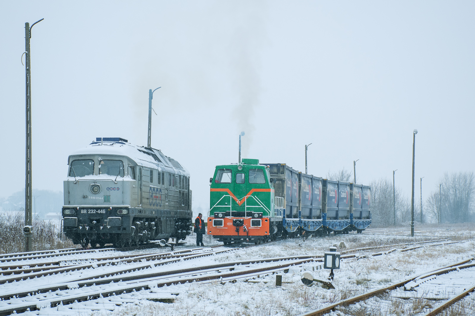 TGM40-0757 [Elewarr]