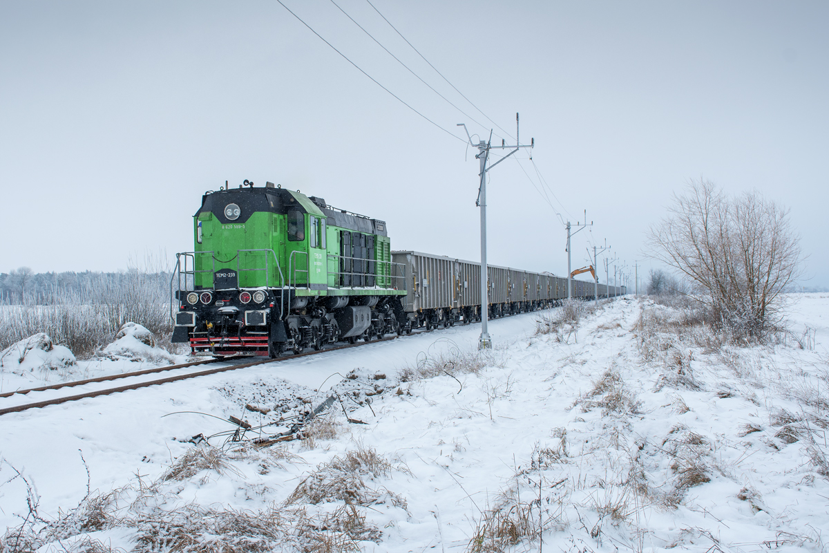 TEM2-239 [Logistics & Transport Company]