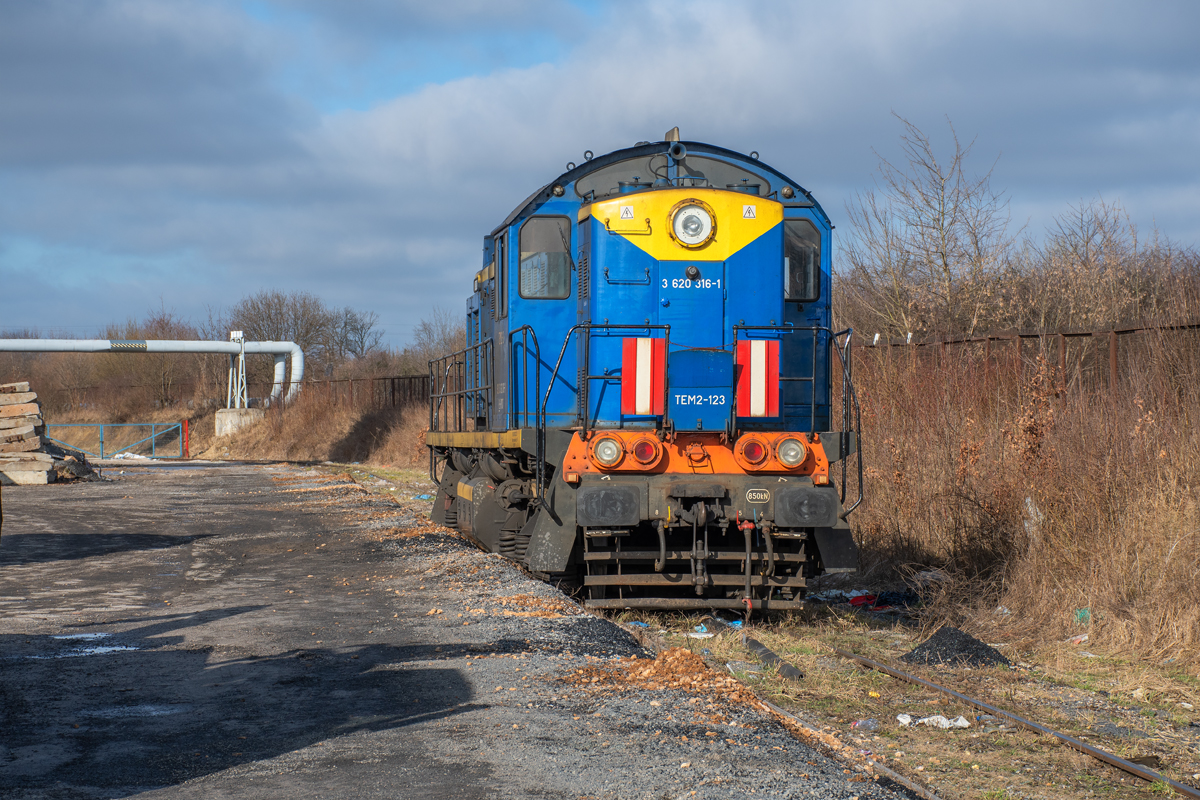 TEM2-123 [ZIK Sandomierz]
