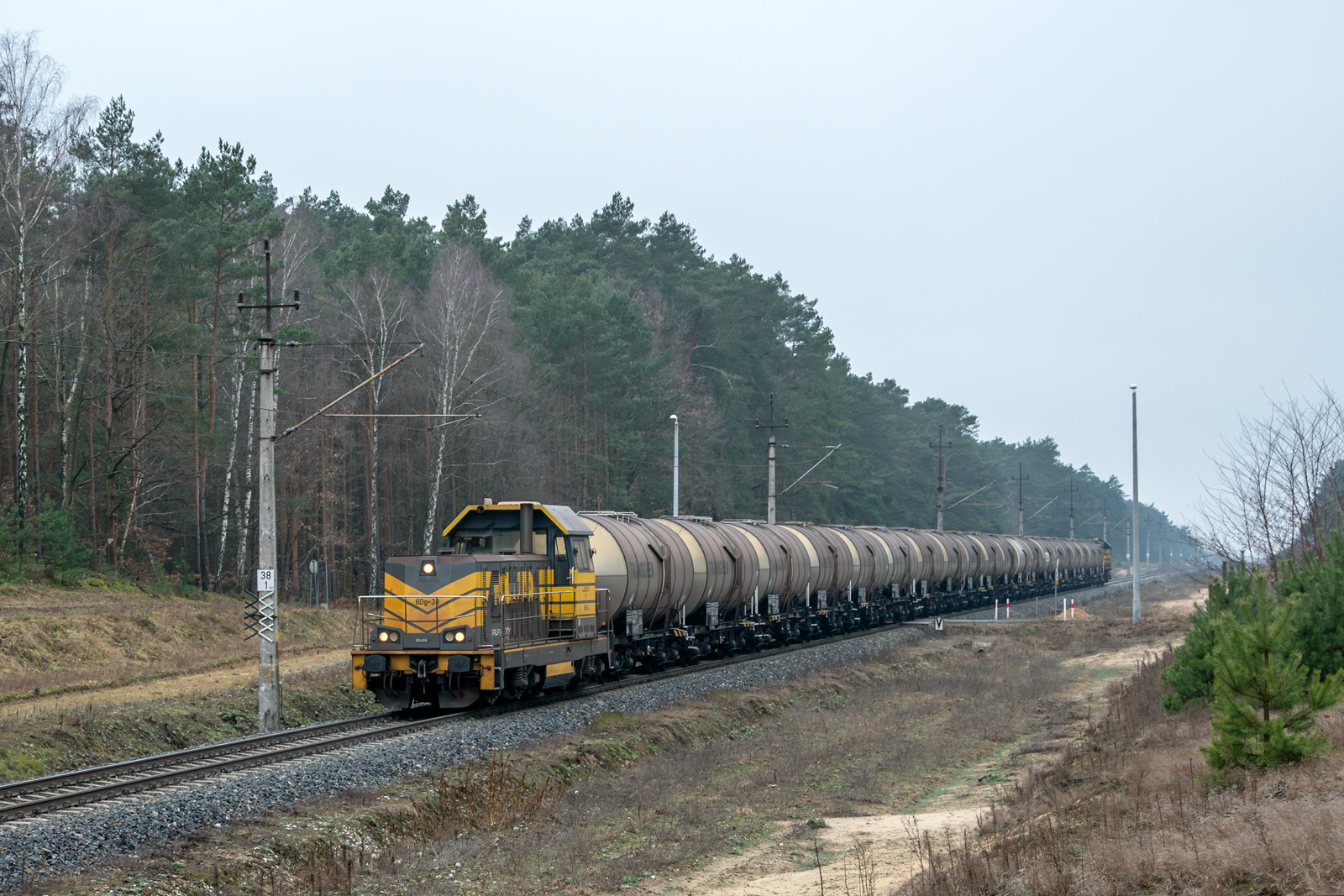 6Dg-38 [Przedsiębiorstwo Transportu Kolejowego ''Koltar"]