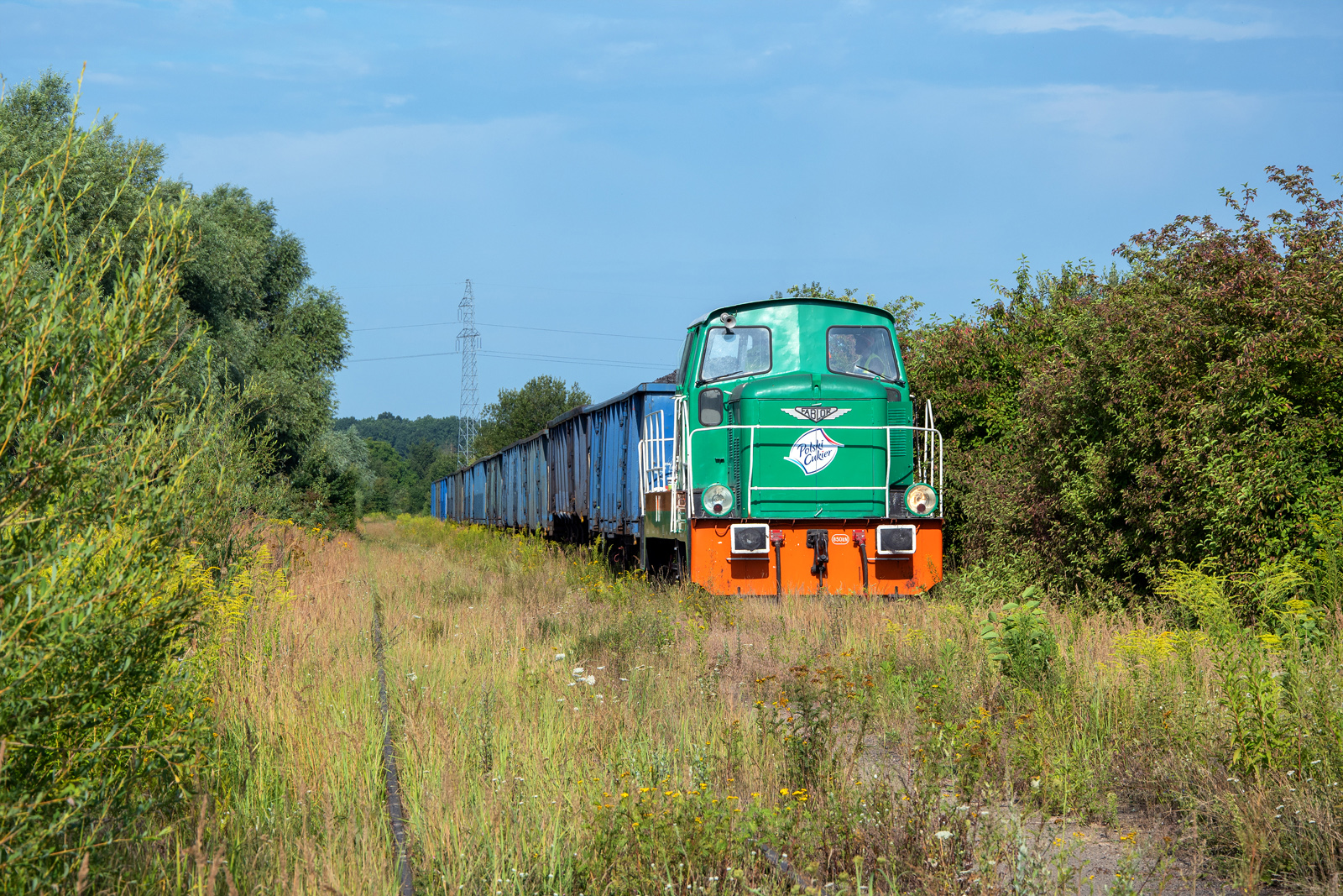 401Da-393 [Cukrownia Kluczewo]
