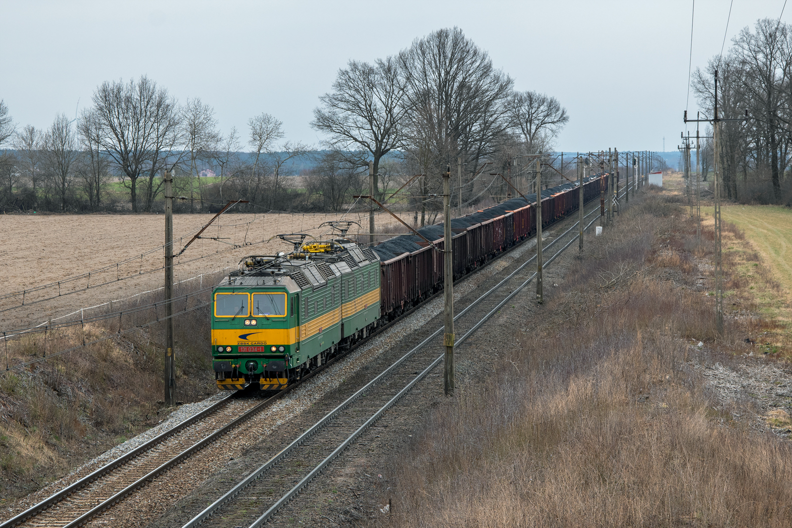 131 034-1 / 131 033-3 [Intercargo]