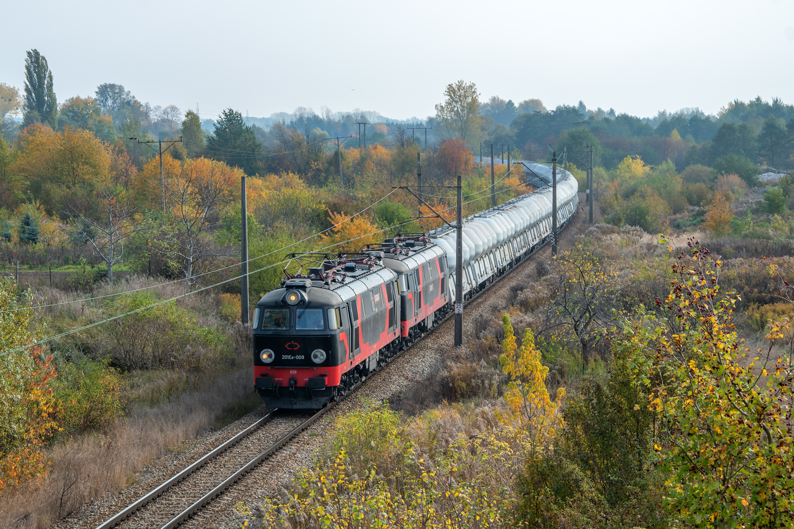 201Eo-009 [Alza Cargo]