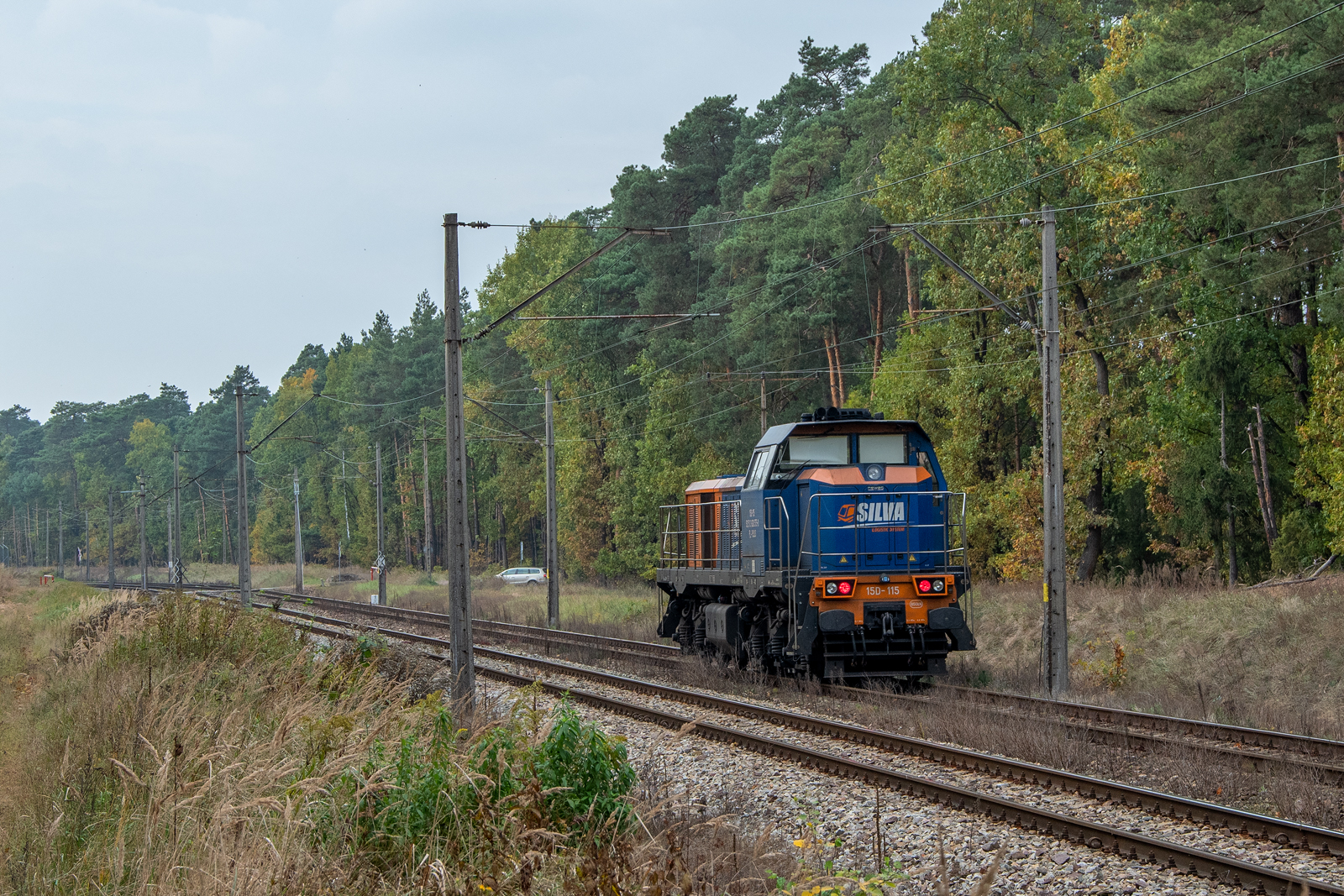 15D-115 [Silva]