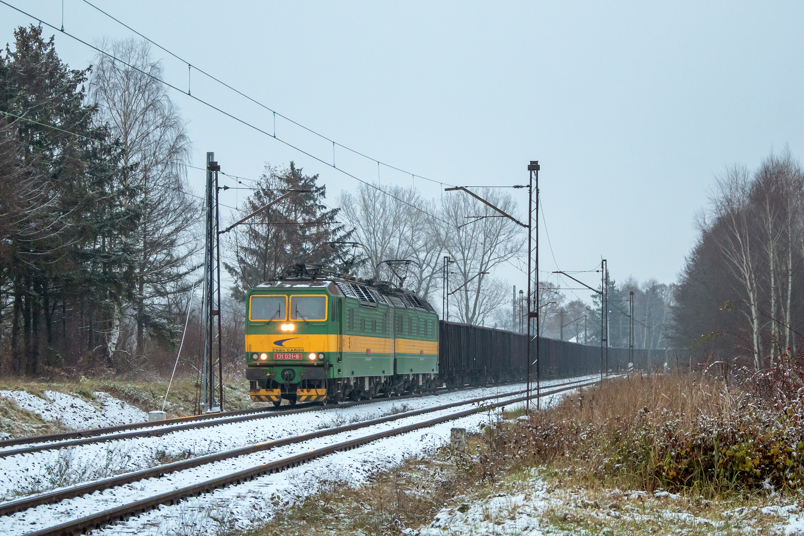 131 021-8 / 131 022-6 [Intercargo]