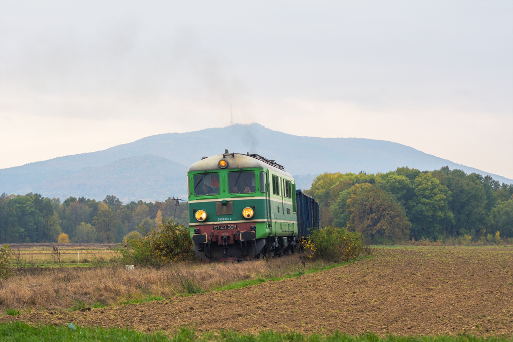 ST43-368 [PKP Cargo]