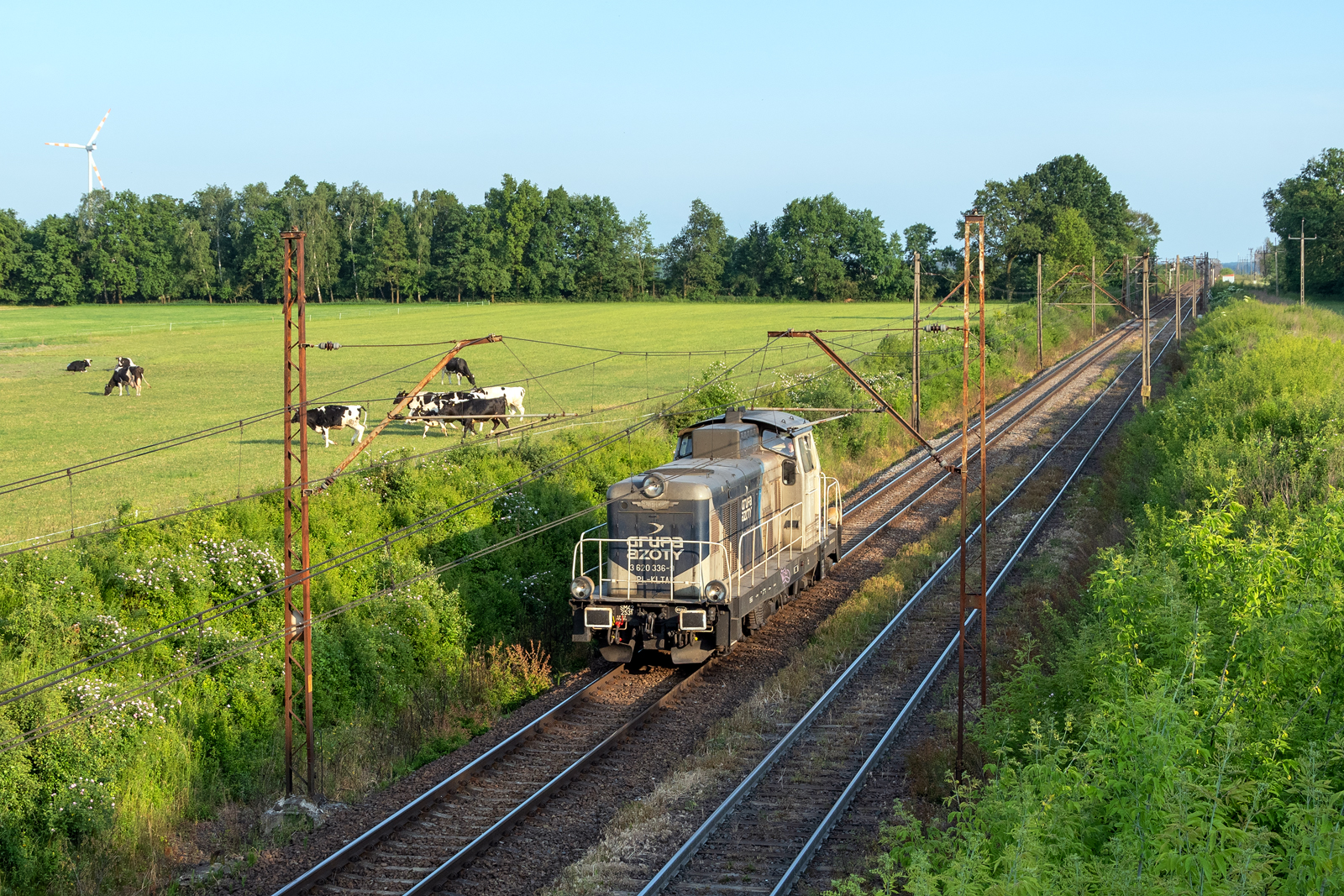 SM42-2531 [FDM]