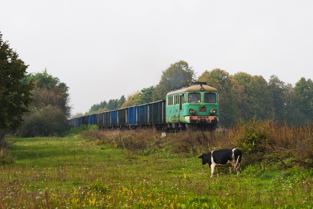 ST43-314 [PKP Cargo]