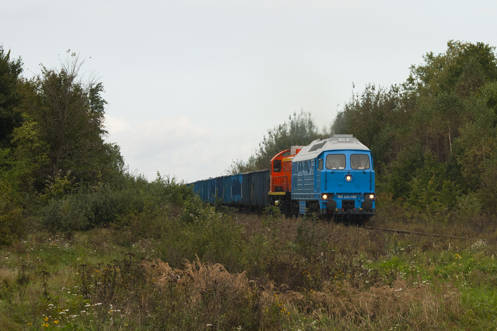 BR232-789 [Depol]