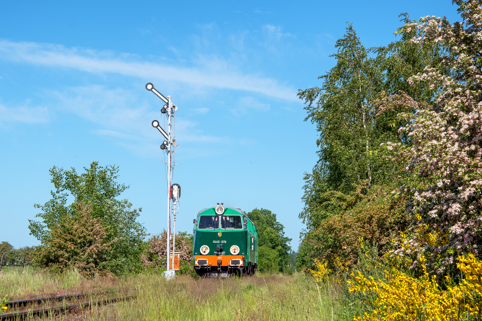 SU45-079