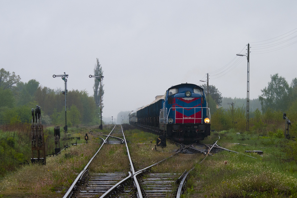 Ls800-2098 [ZIK Sandomierz]