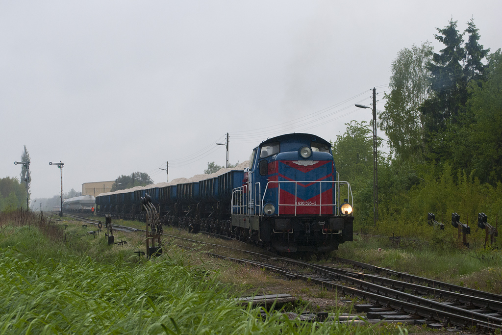 Ls800-2098 [ZIK Sandomierz]